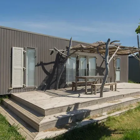 Les Bois Flottes * Salin-de-Giraud